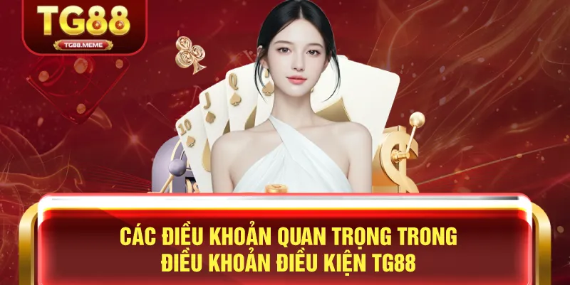 Các Điều Khoản Quan Trọng Trong Điều Khoản Điều Kiện TG88